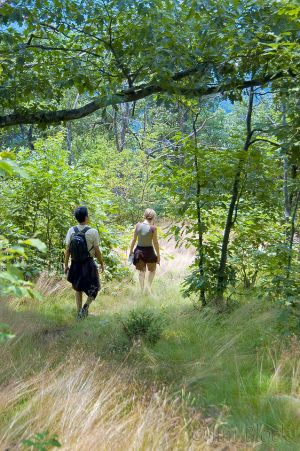 31  CC676-Heather-and-Vivaldo-on-Bog-Mountain.jpg